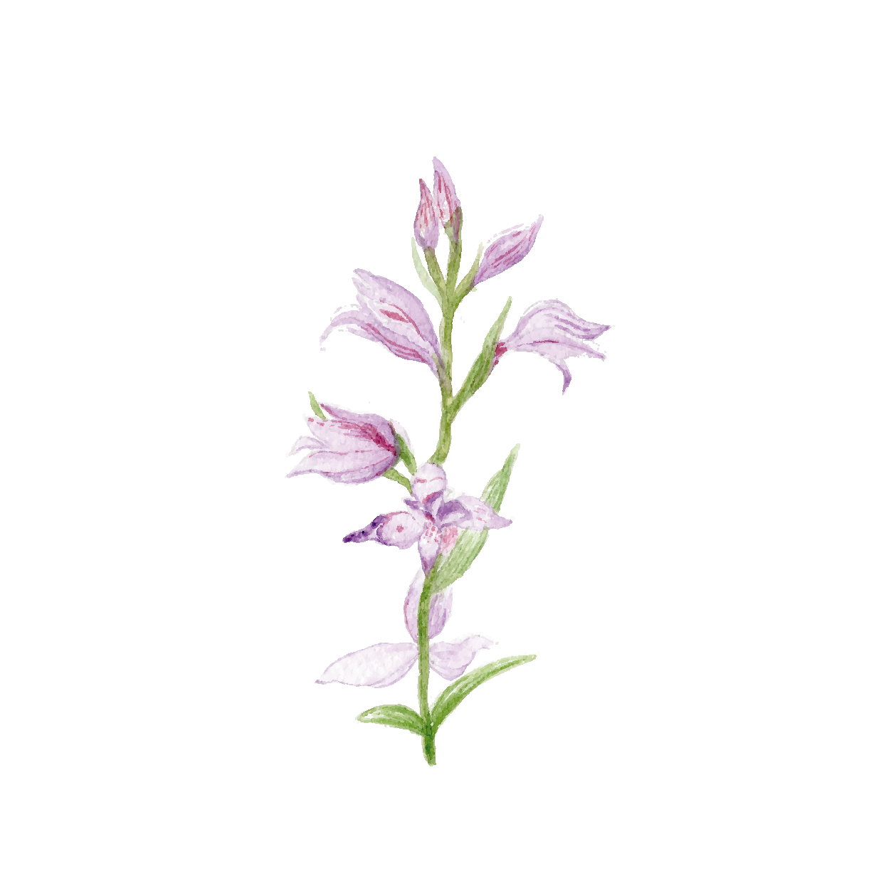 Mini protected flowers
