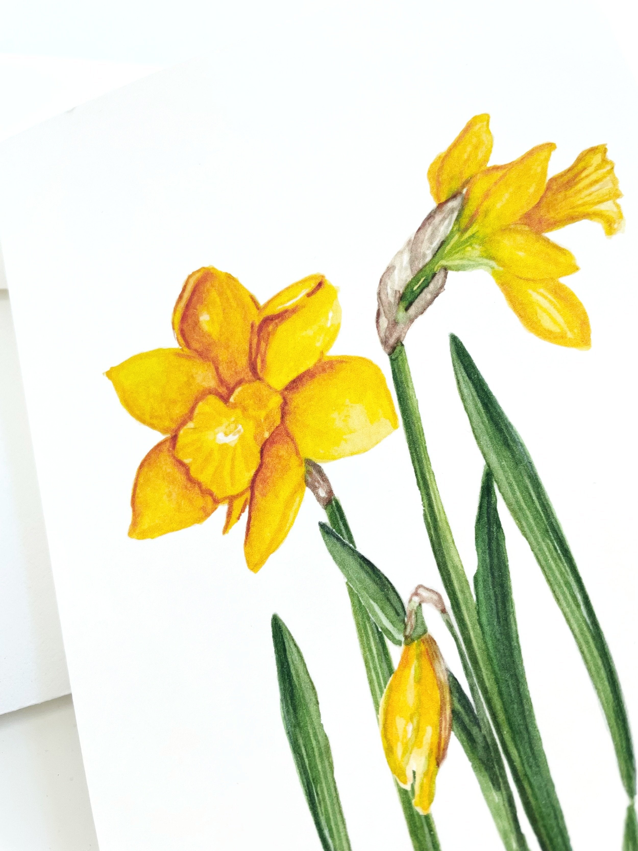 Flowers of spring - greeting cards