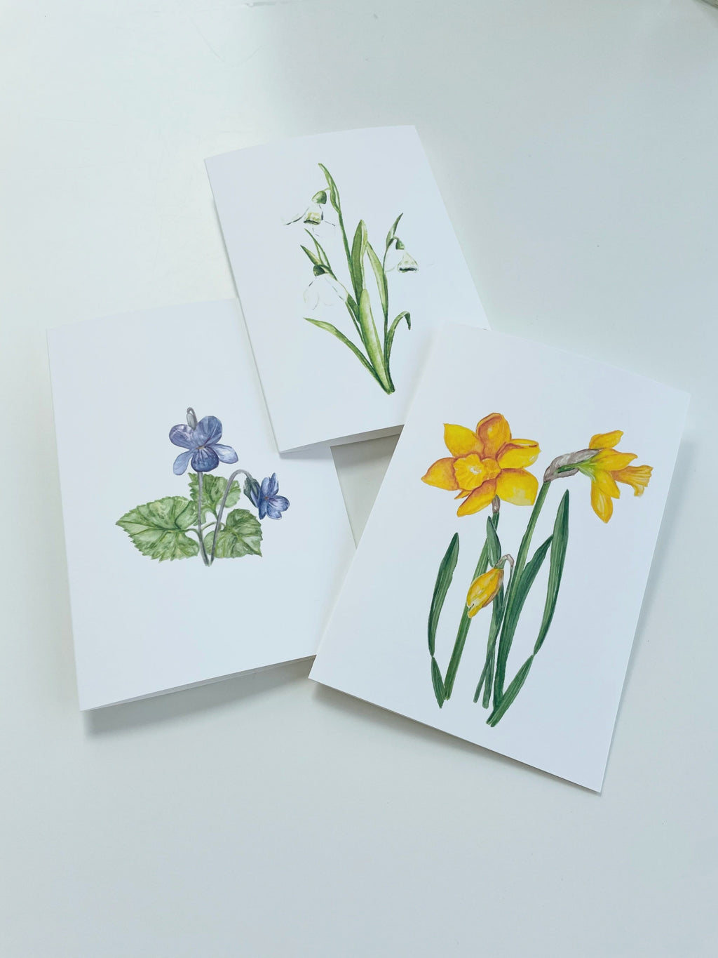 Flowers of spring - greeting cards