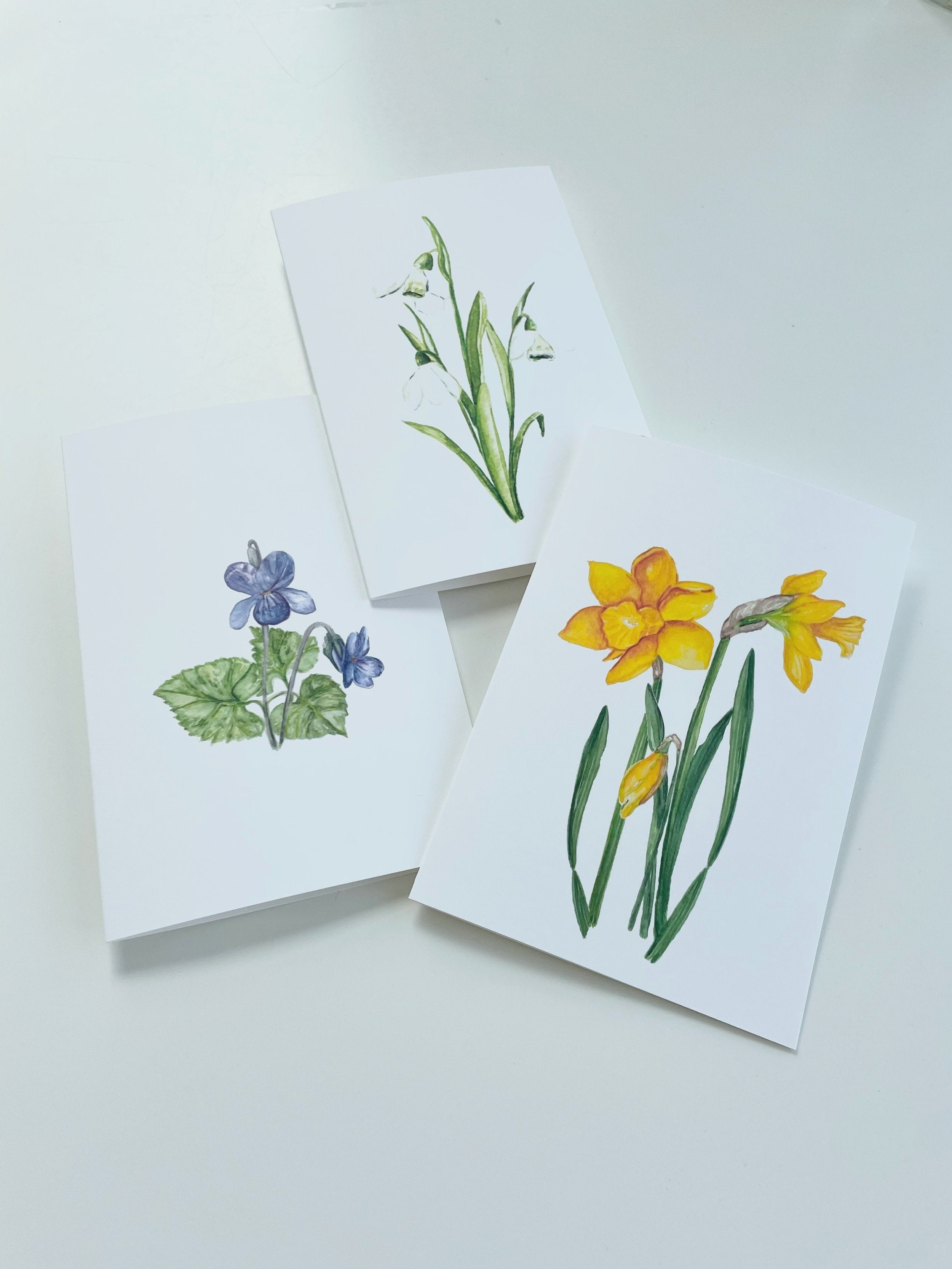 Flowers of spring - greeting cards