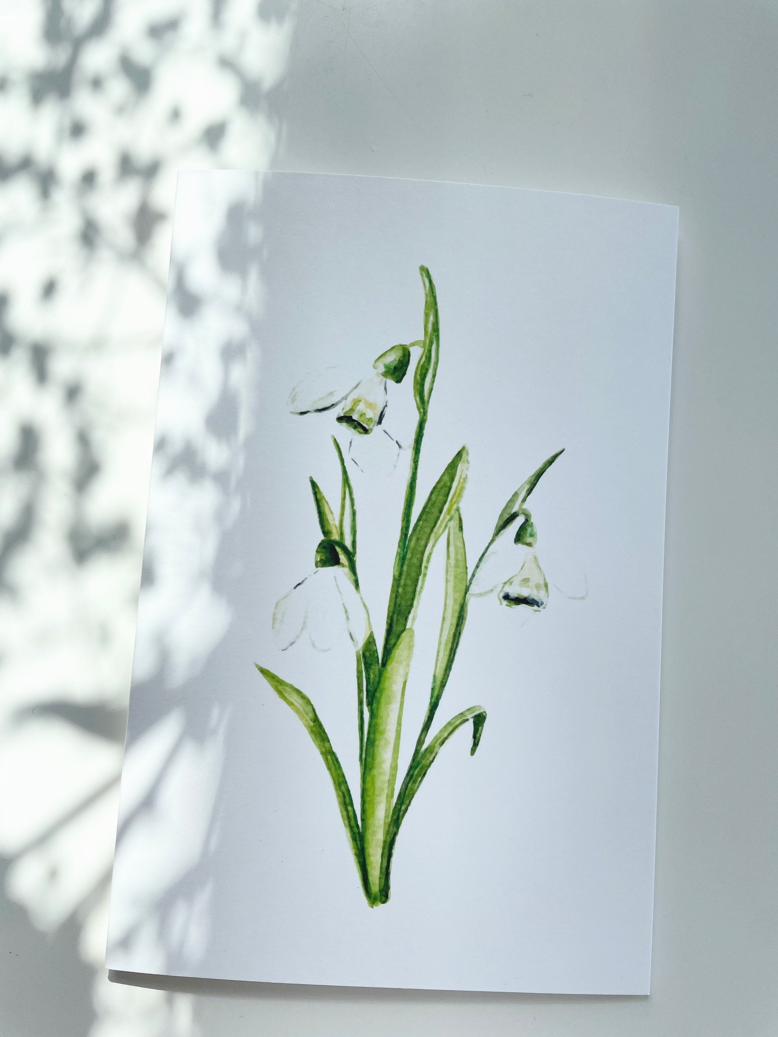 Flowers of spring - greeting cards