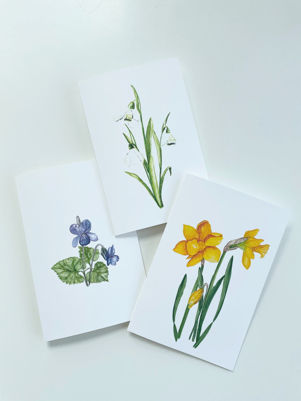 Flowers of spring - greeting cards