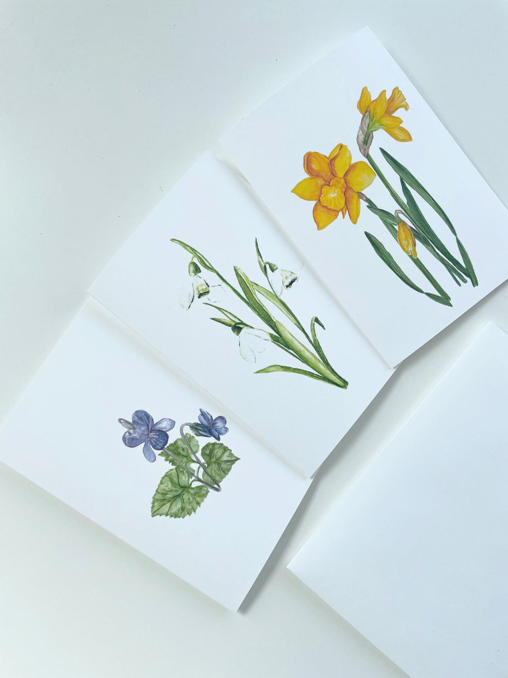 Flowers of spring - greeting cards