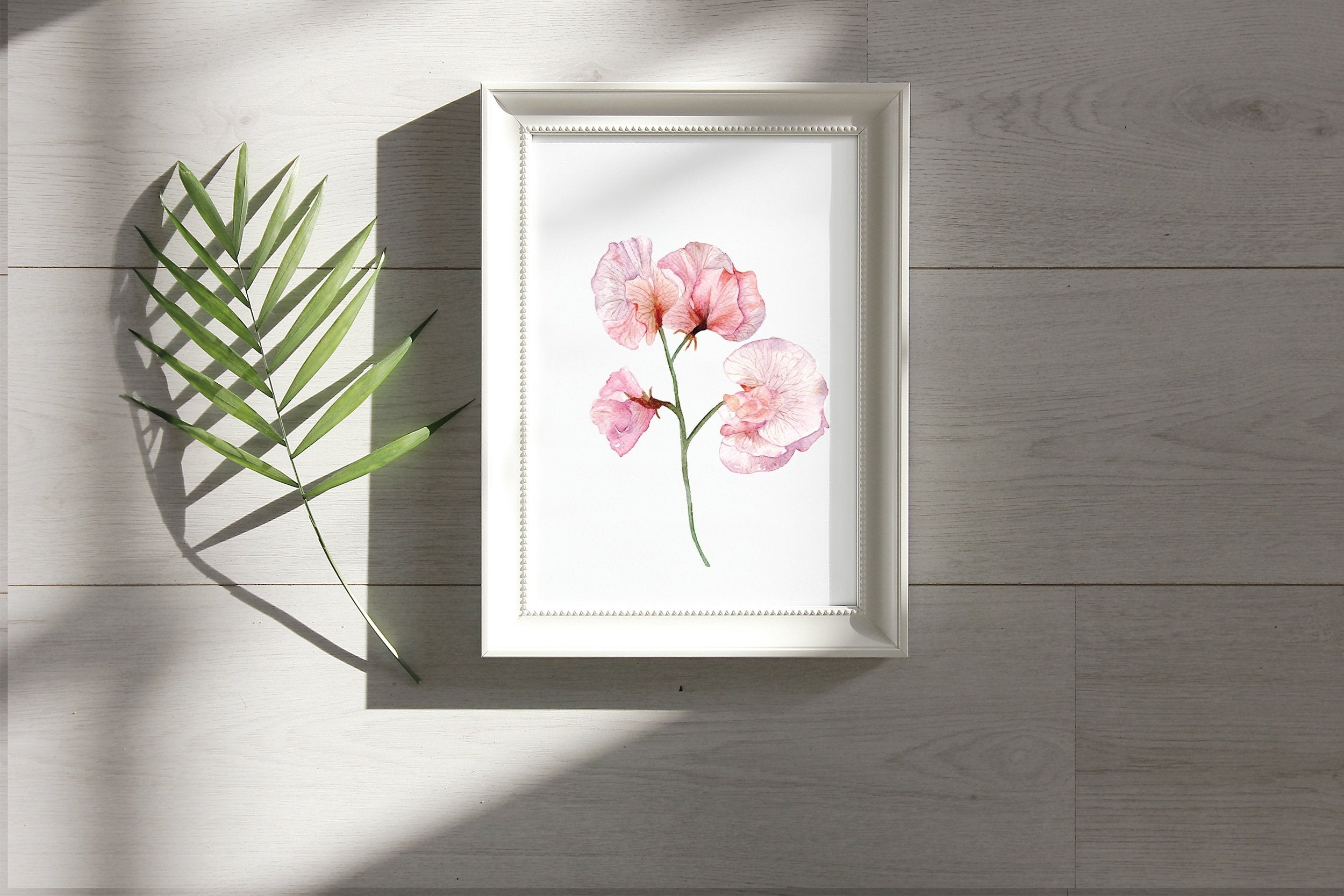Sweet pea - art print
