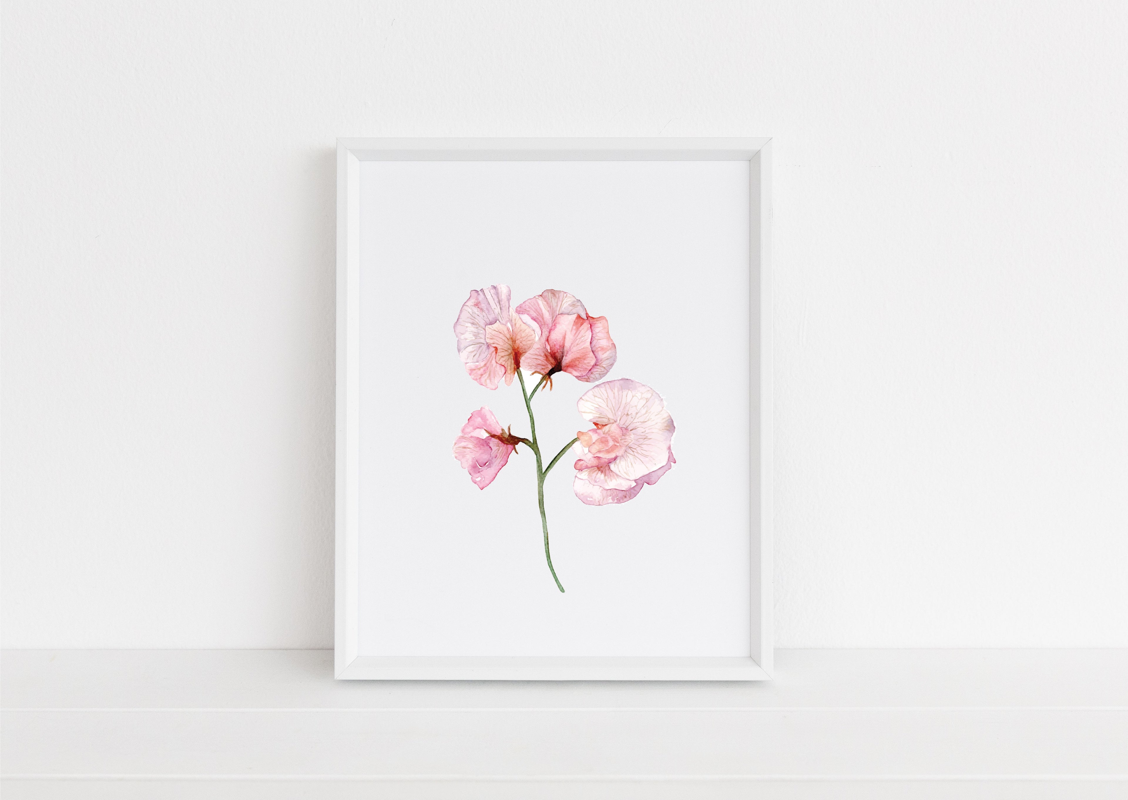 Sweet pea - art print
