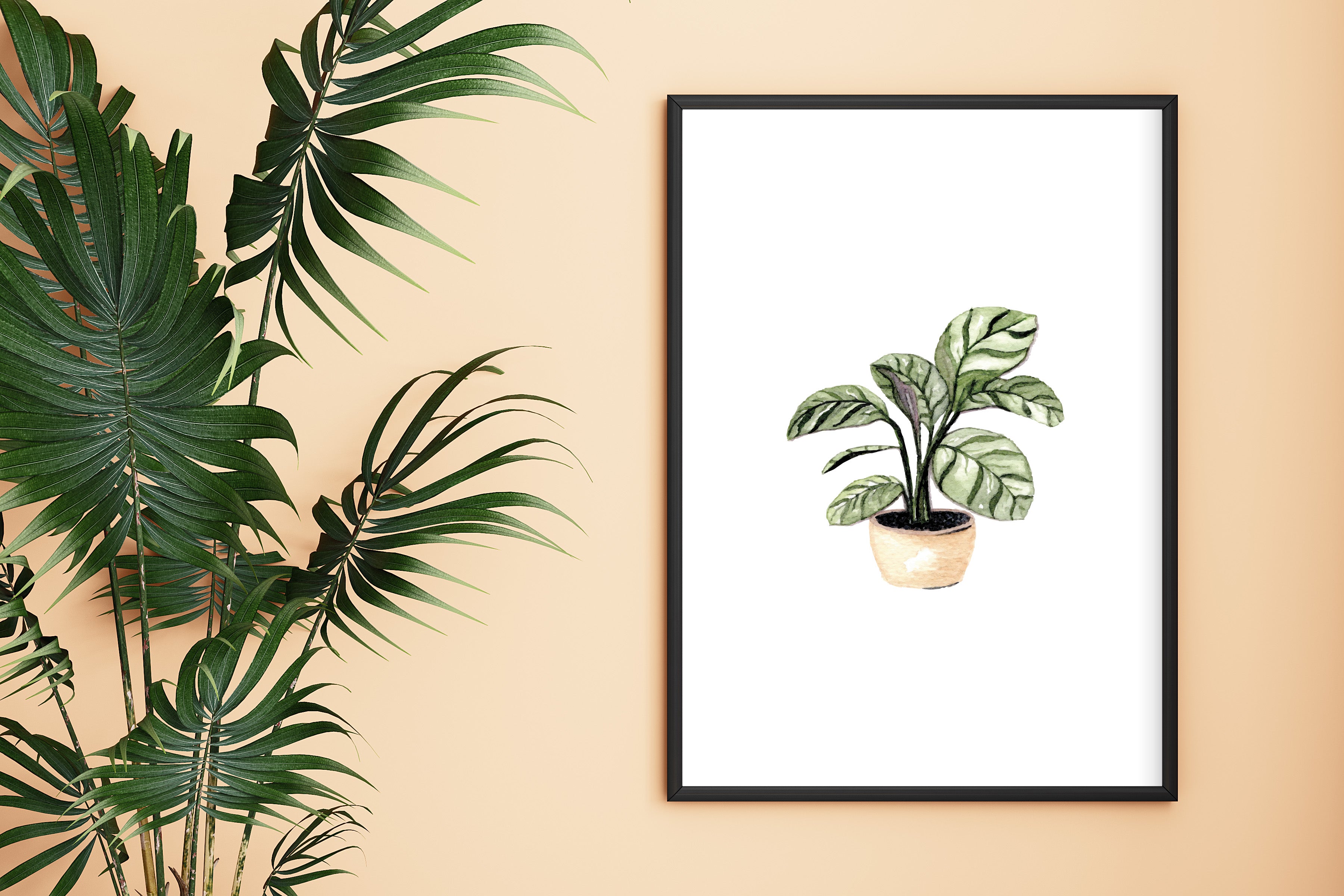 Indoor plants - art print