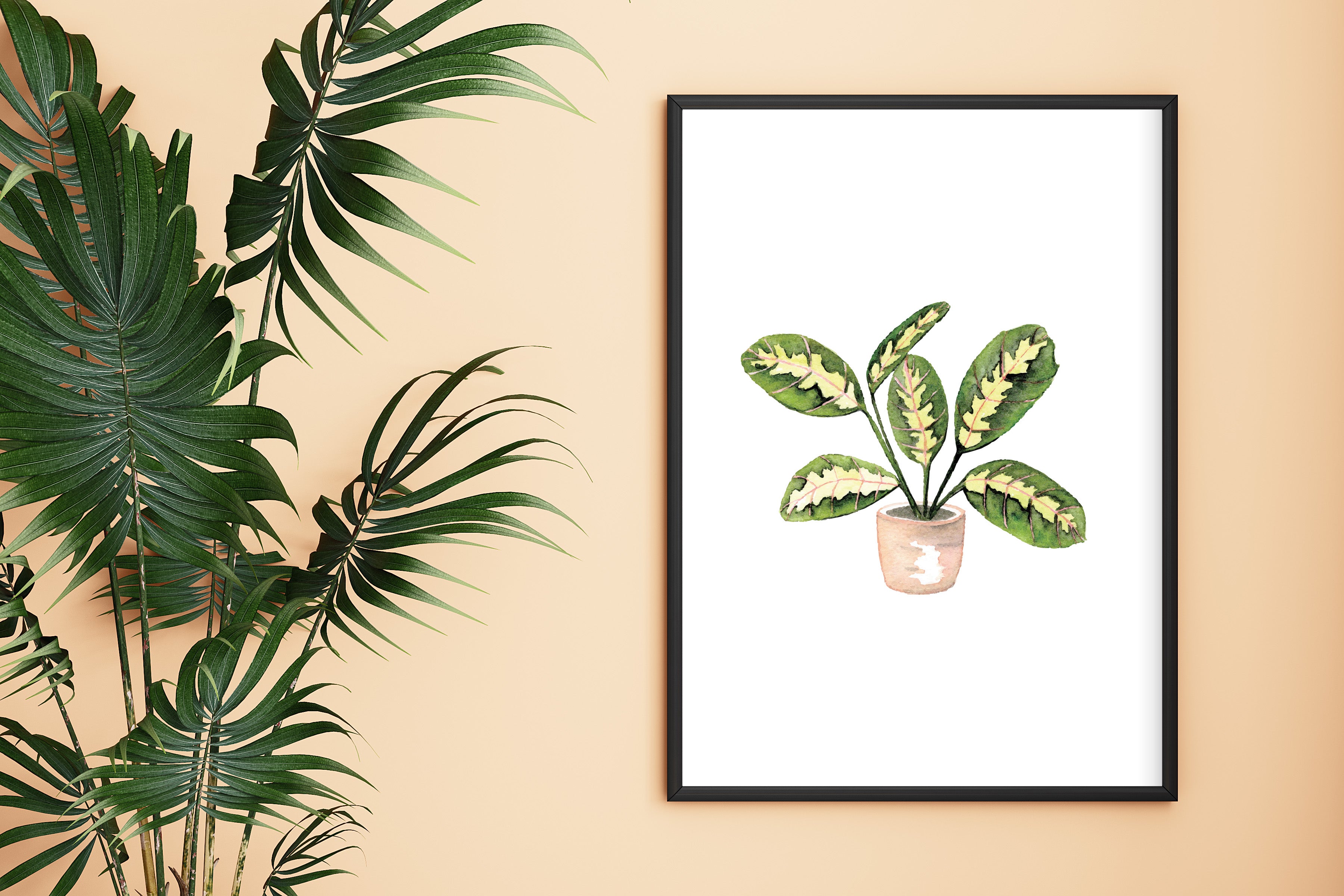 Indoor plants - art print