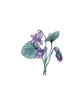 Violets - art print