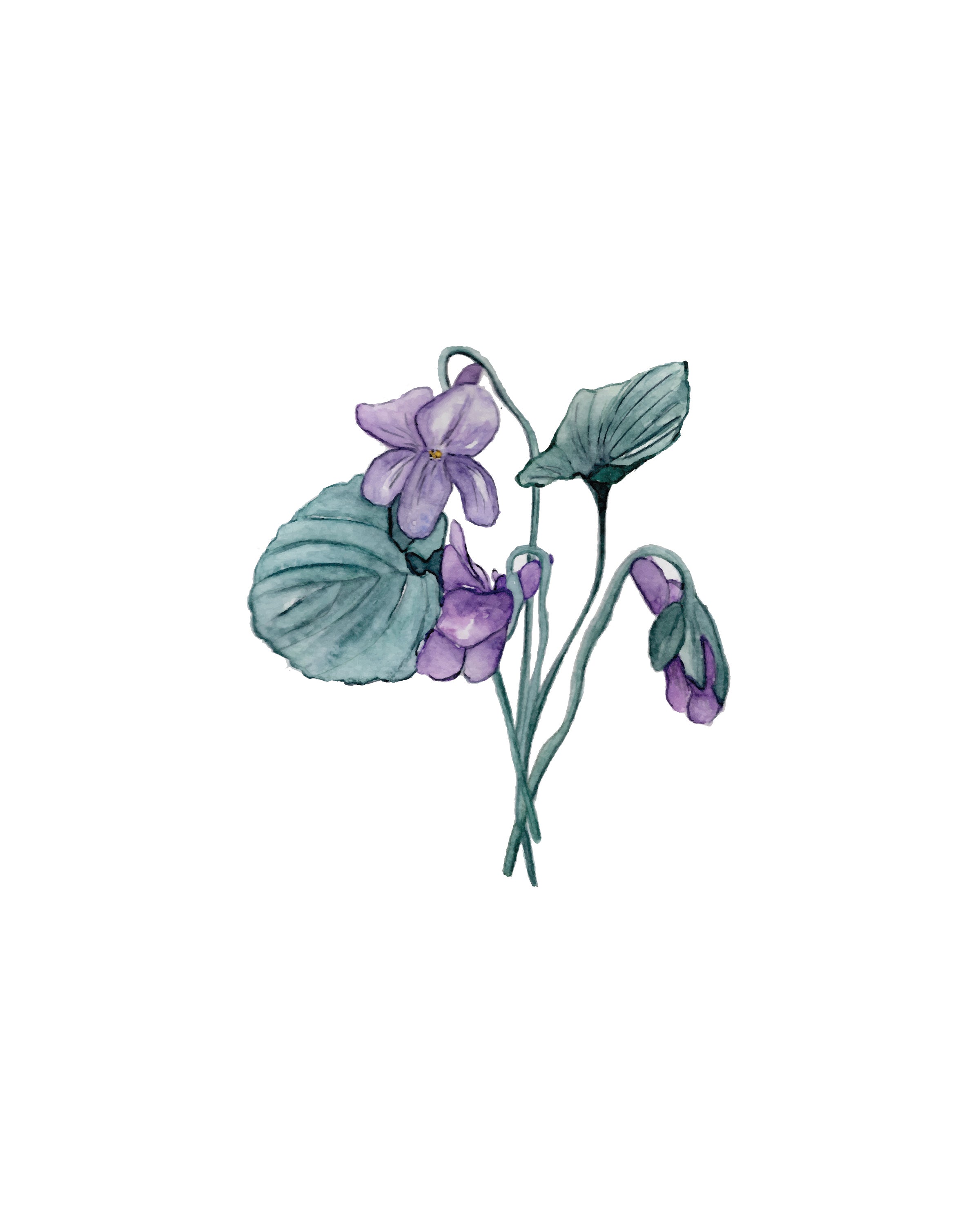 Violets - art print