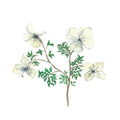 Winter flowers - mini art print
