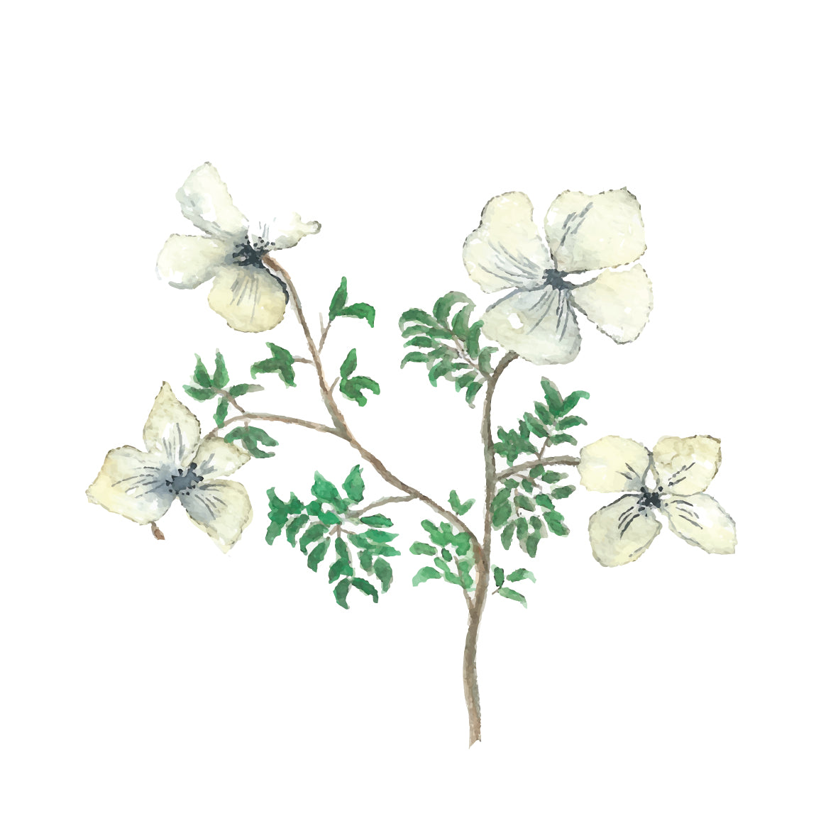 Winter flowers - mini art print